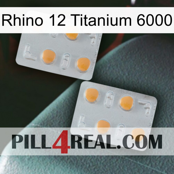 Rhino 12 Titanium 6000 25.jpg